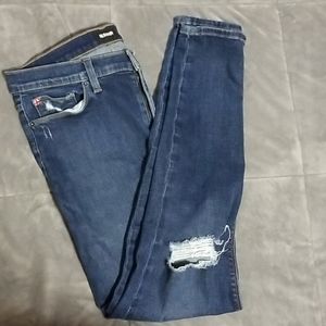 Hudson Blair Super Skinny Jeans